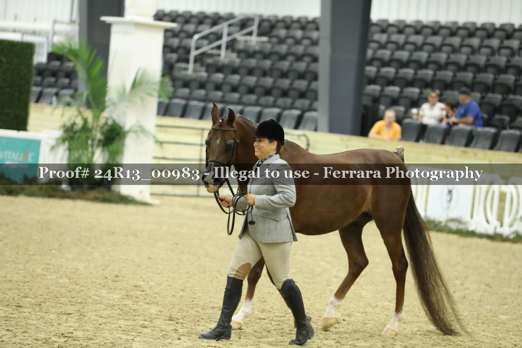 Proof 24R13_00983