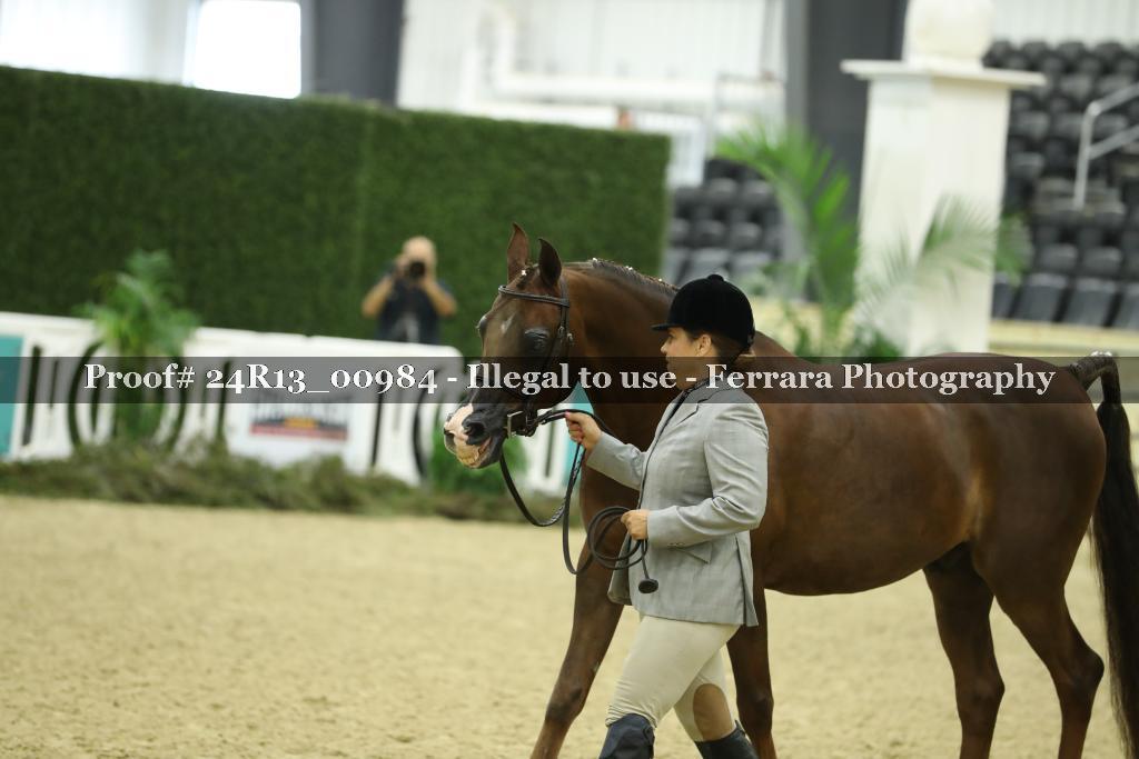 Proof 24R13_00984