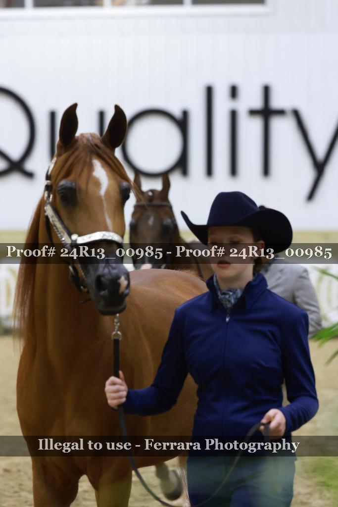 Proof 24R13_00985