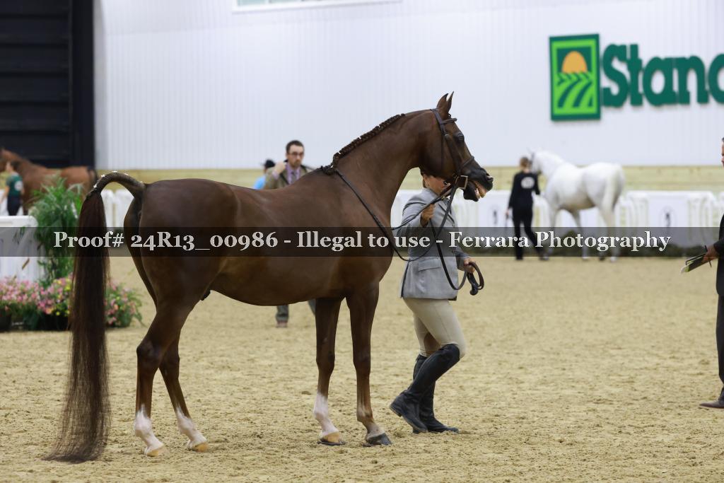 Proof 24R13_00986