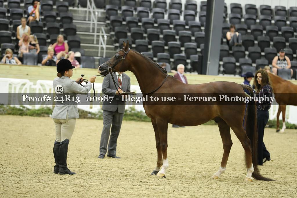 Proof 24R13_00987