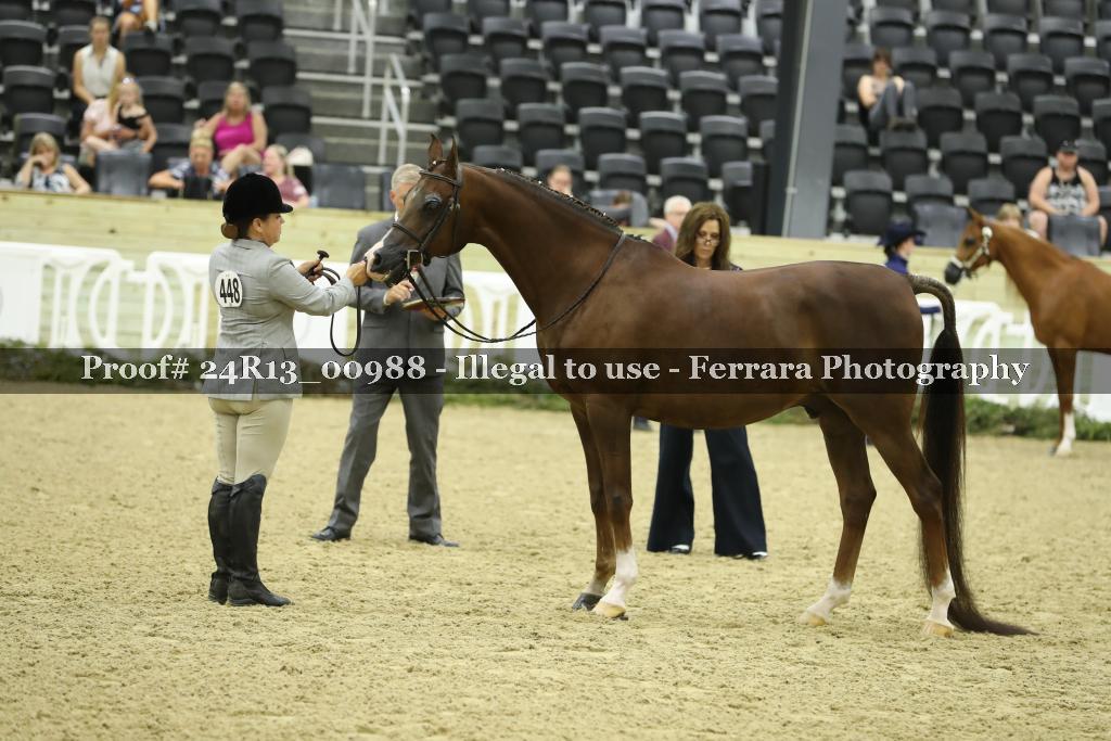 Proof 24R13_00988