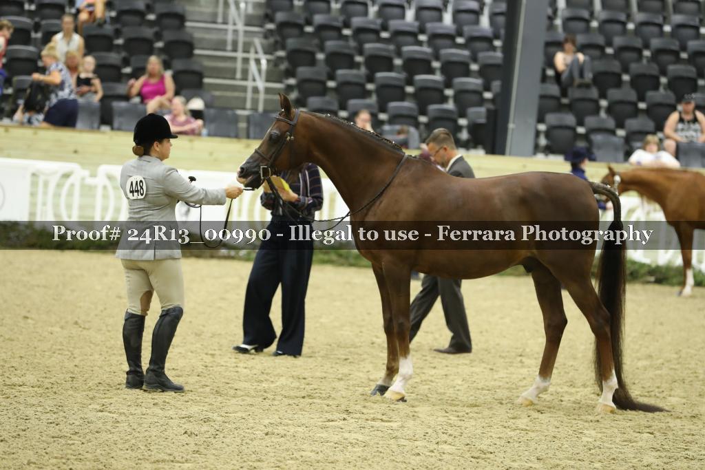 Proof 24R13_00990