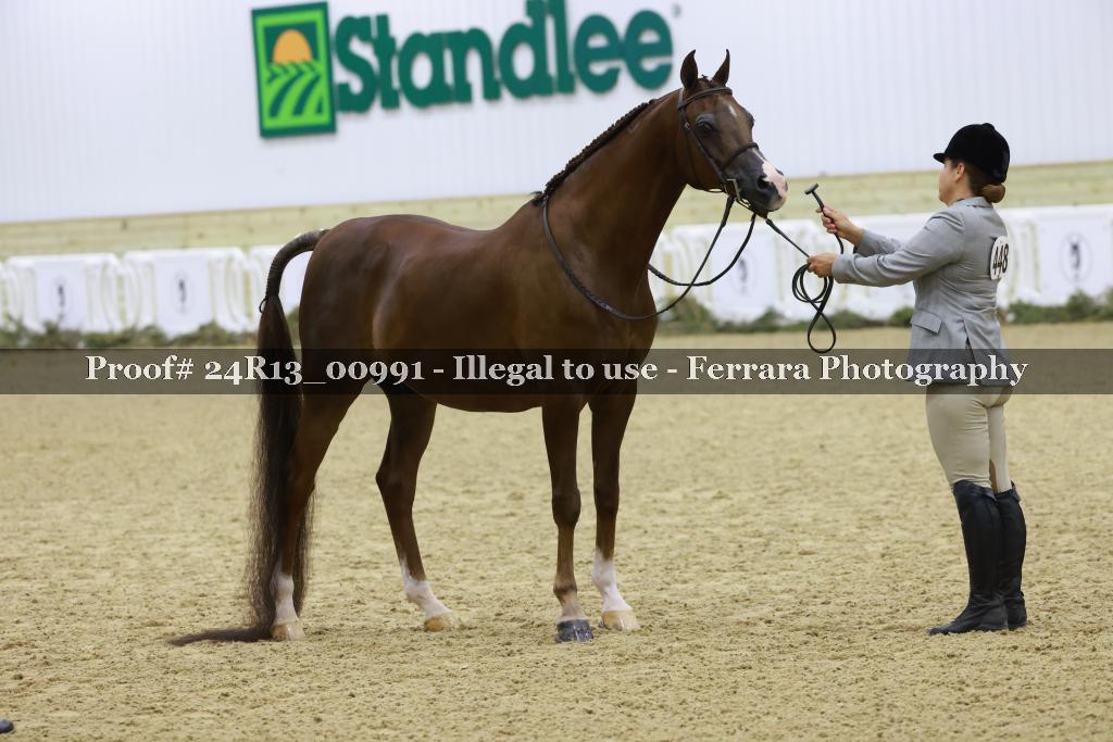 Proof 24R13_00991