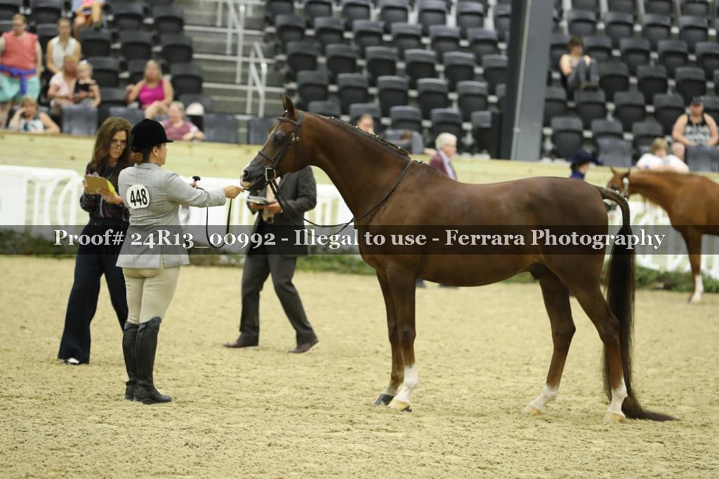 Proof 24R13_00992