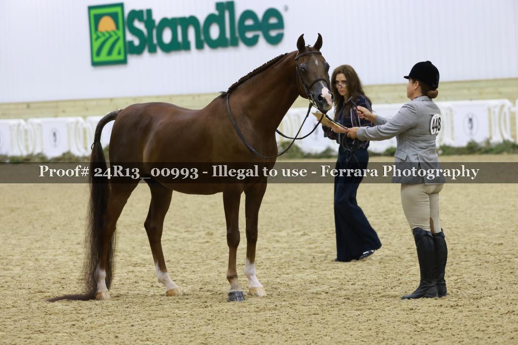 Proof 24R13_00993