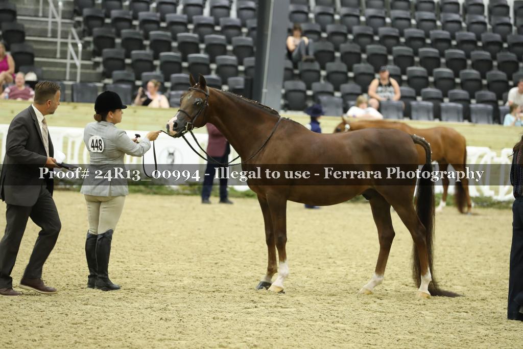 Proof 24R13_00994