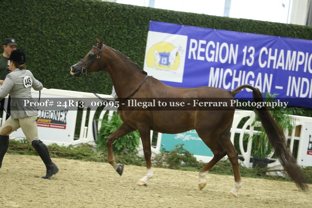 Proof 24R13_00995