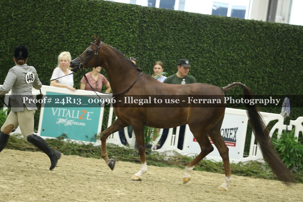 Proof 24R13_00996
