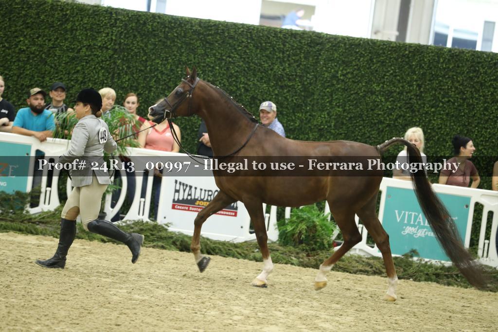 Proof 24R13_00997