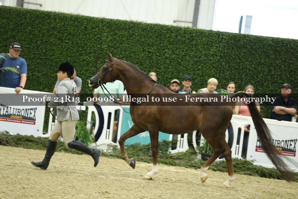 Proof 24R13_00998