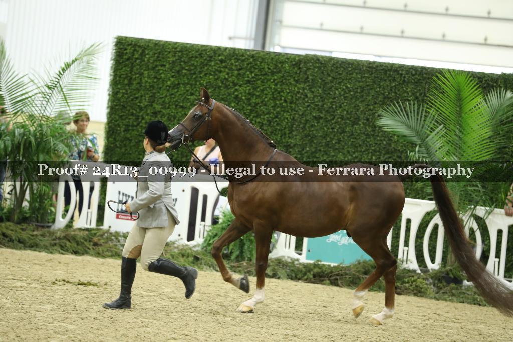 Proof 24R13_00999