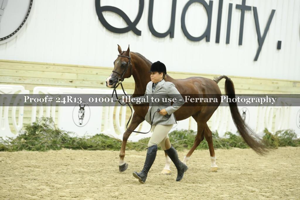 Proof 24R13_01001