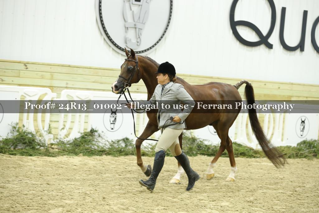 Proof 24R13_01002