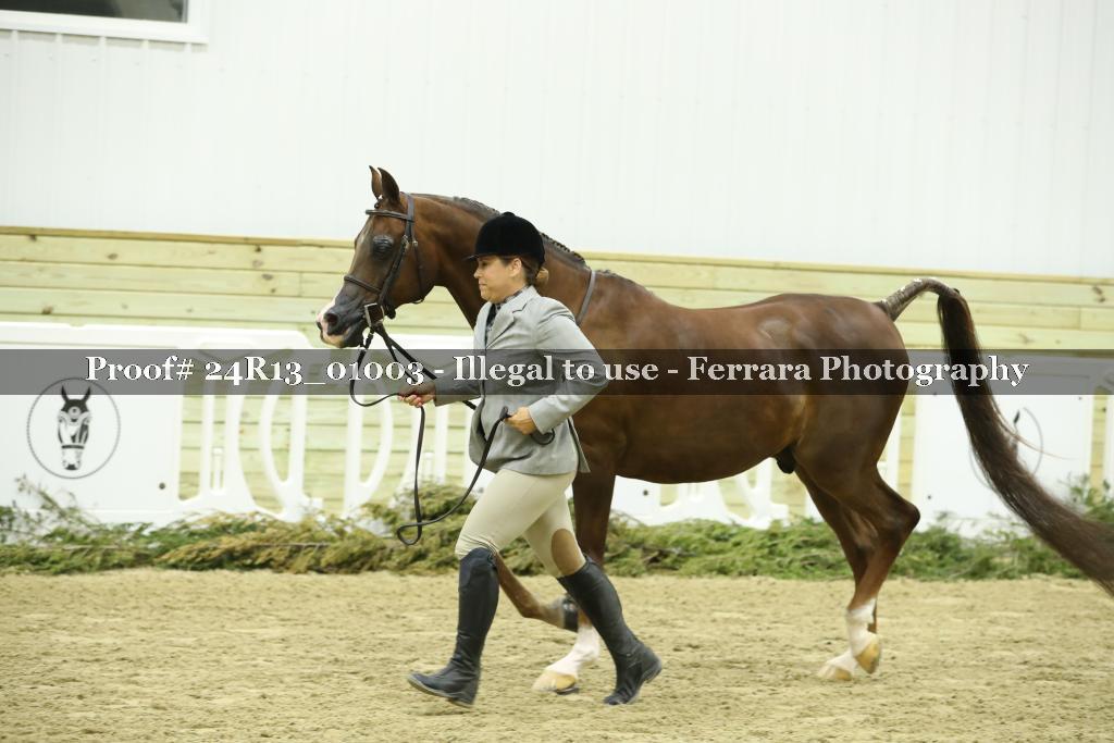Proof 24R13_01003