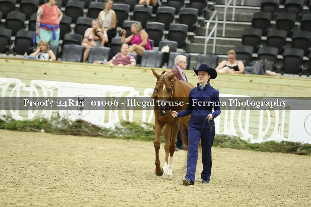 Proof 24R13_01006