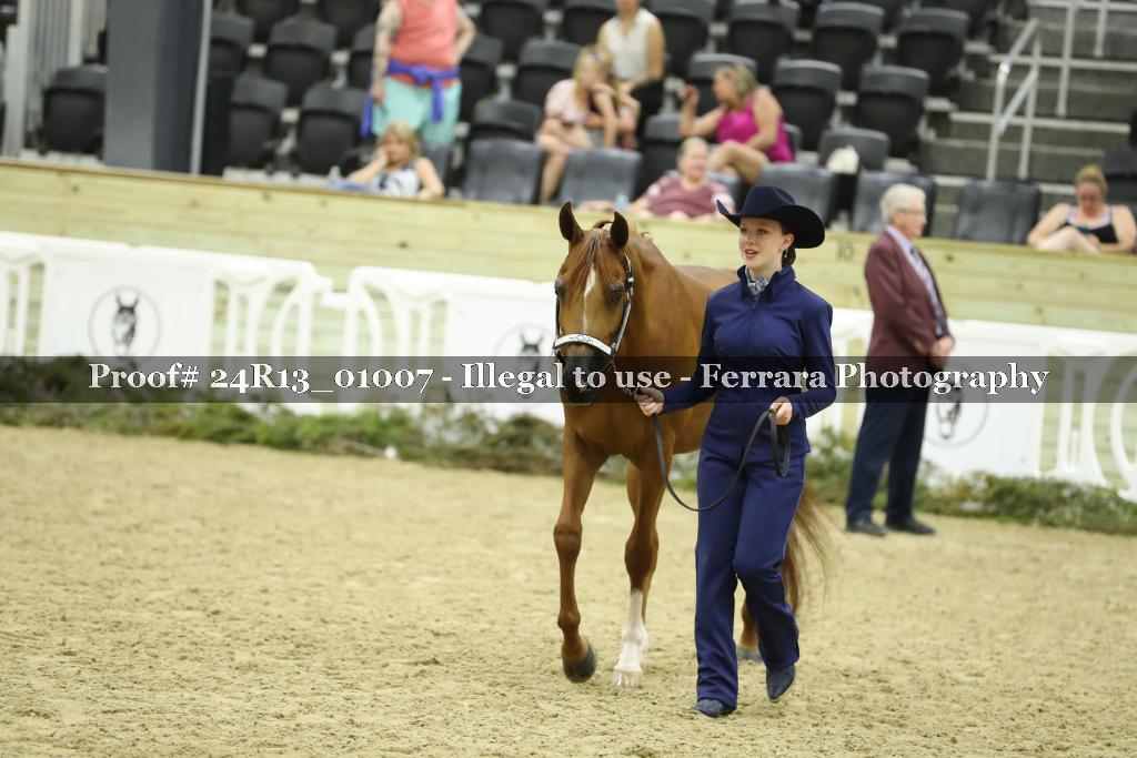 Proof 24R13_01007