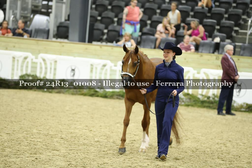 Proof 24R13_01008