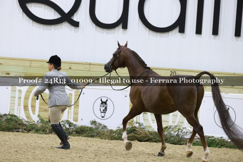 Proof 24R13_01009