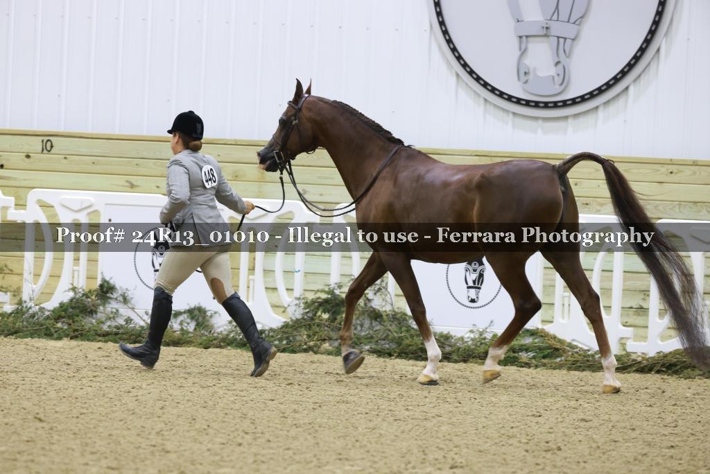 Proof 24R13_01010
