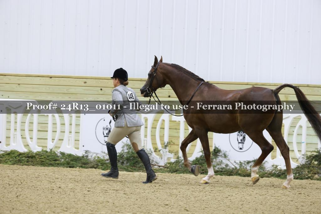 Proof 24R13_01011