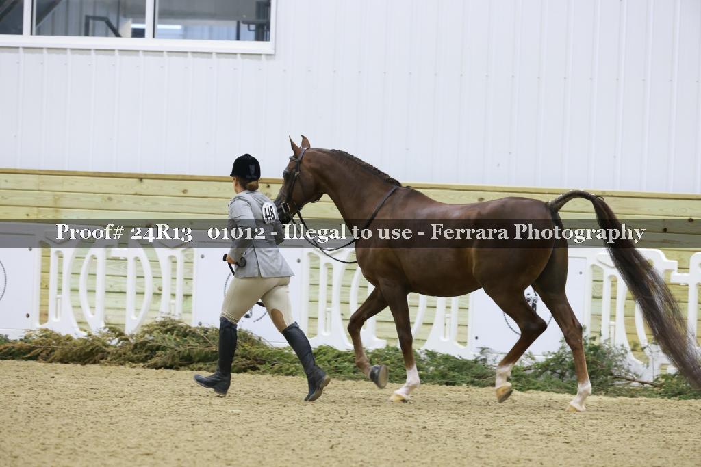 Proof 24R13_01012