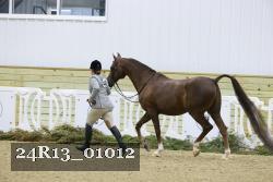 24R13_01012 proof