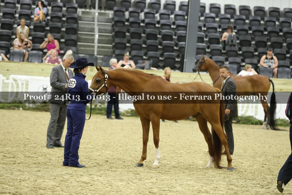 Proof 24R13_01013