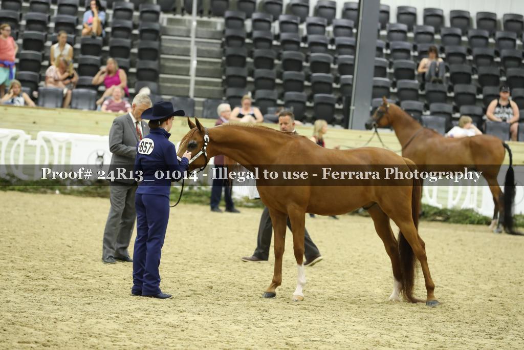 Proof 24R13_01014