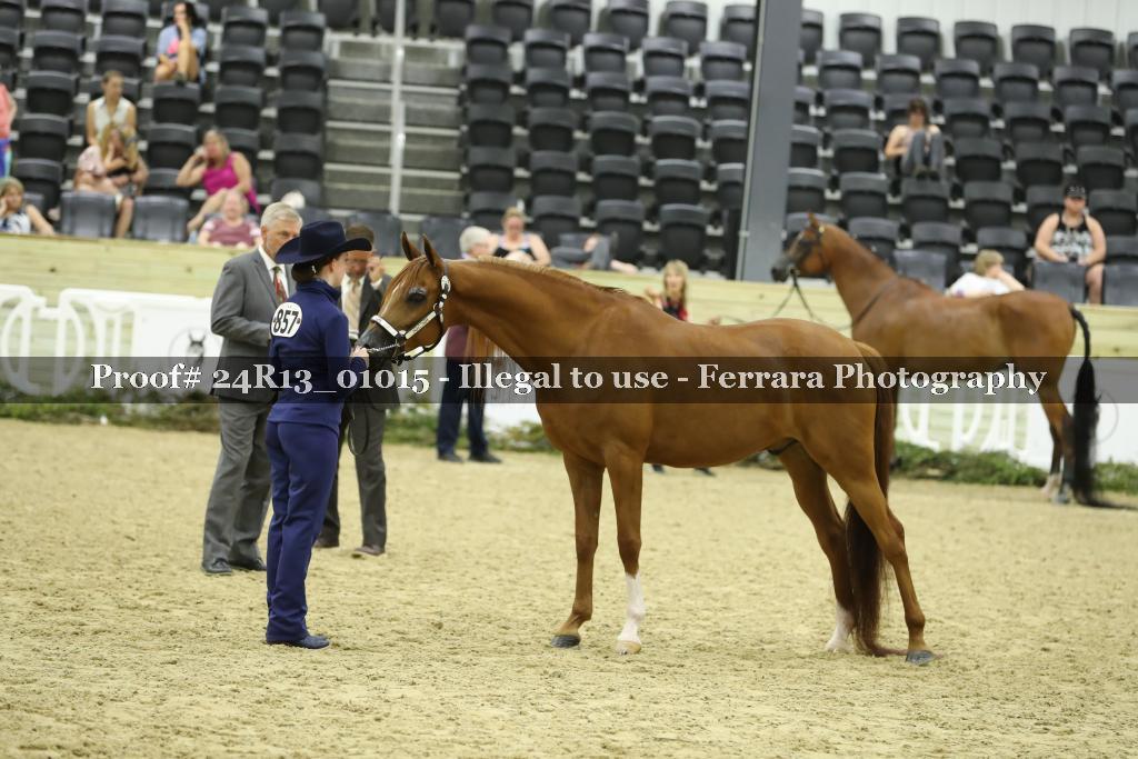 Proof 24R13_01015