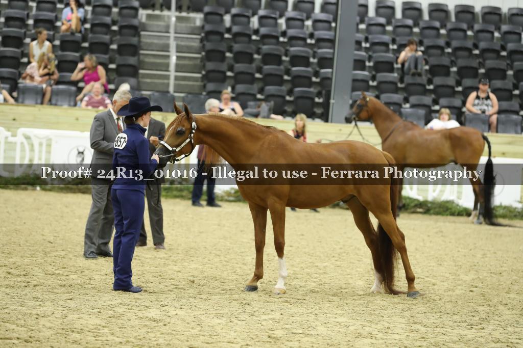 Proof 24R13_01016