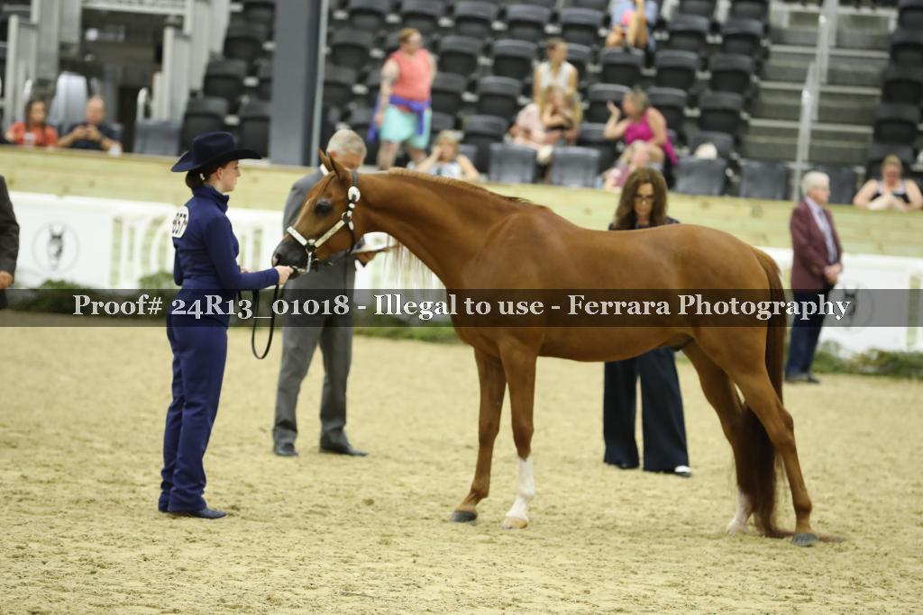 Proof 24R13_01018
