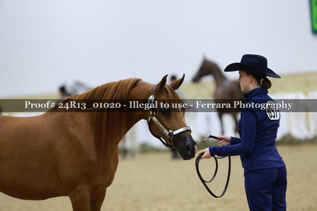 Proof 24R13_01020
