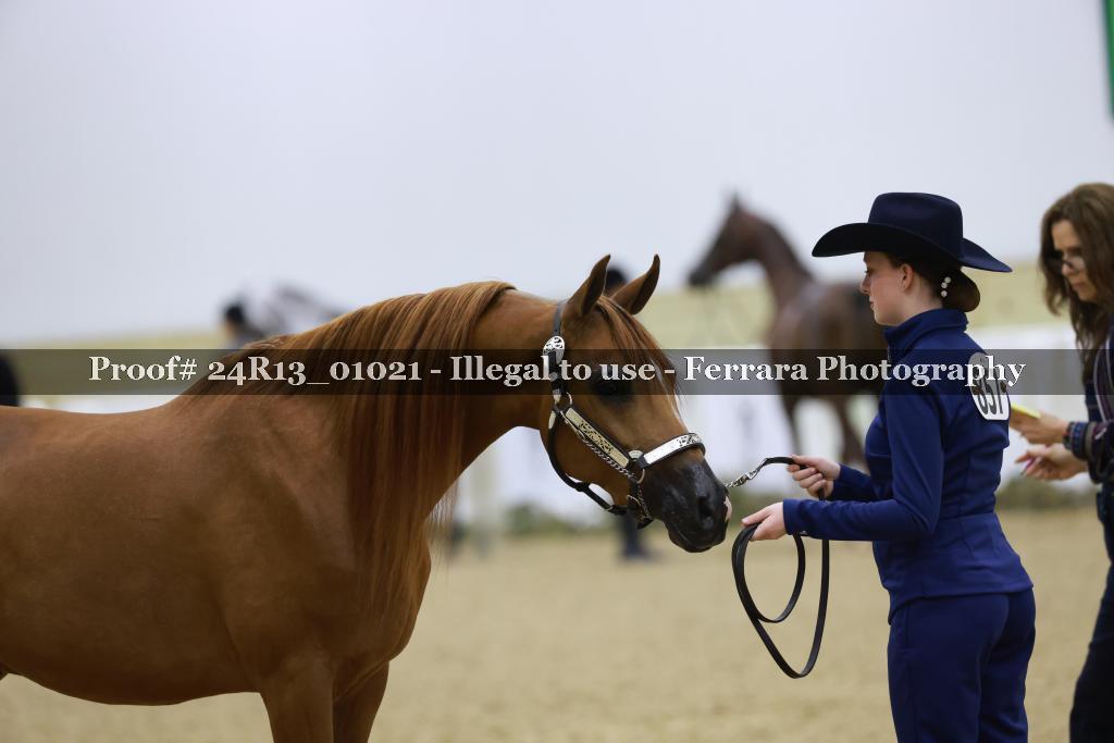 Proof 24R13_01021