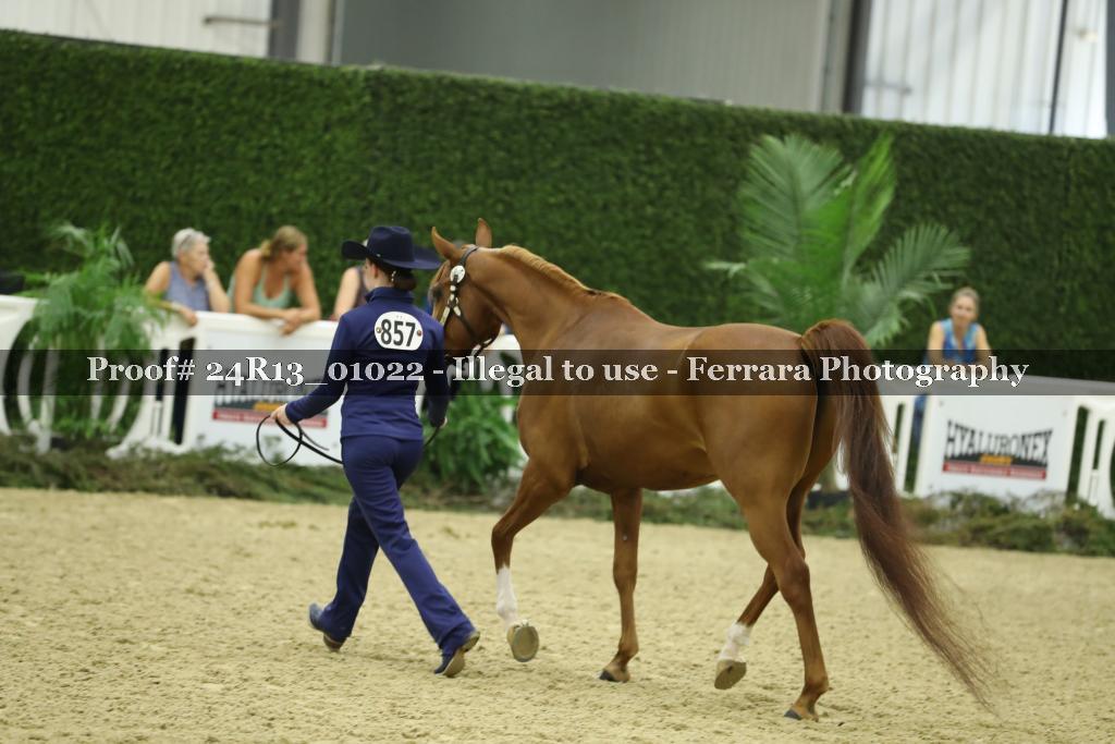 Proof 24R13_01022