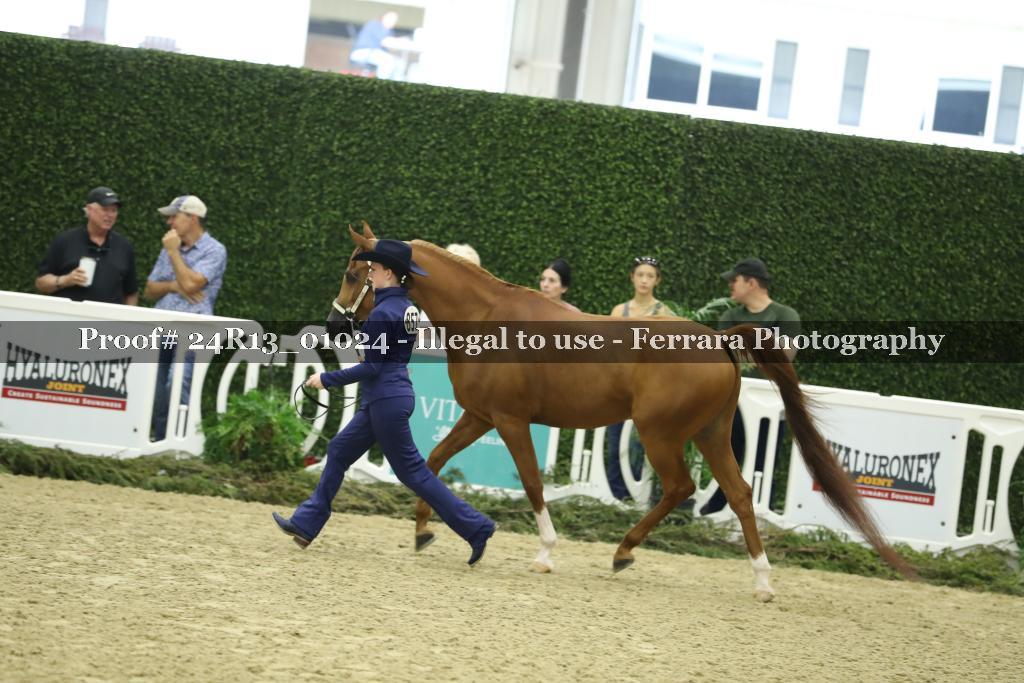 Proof 24R13_01024