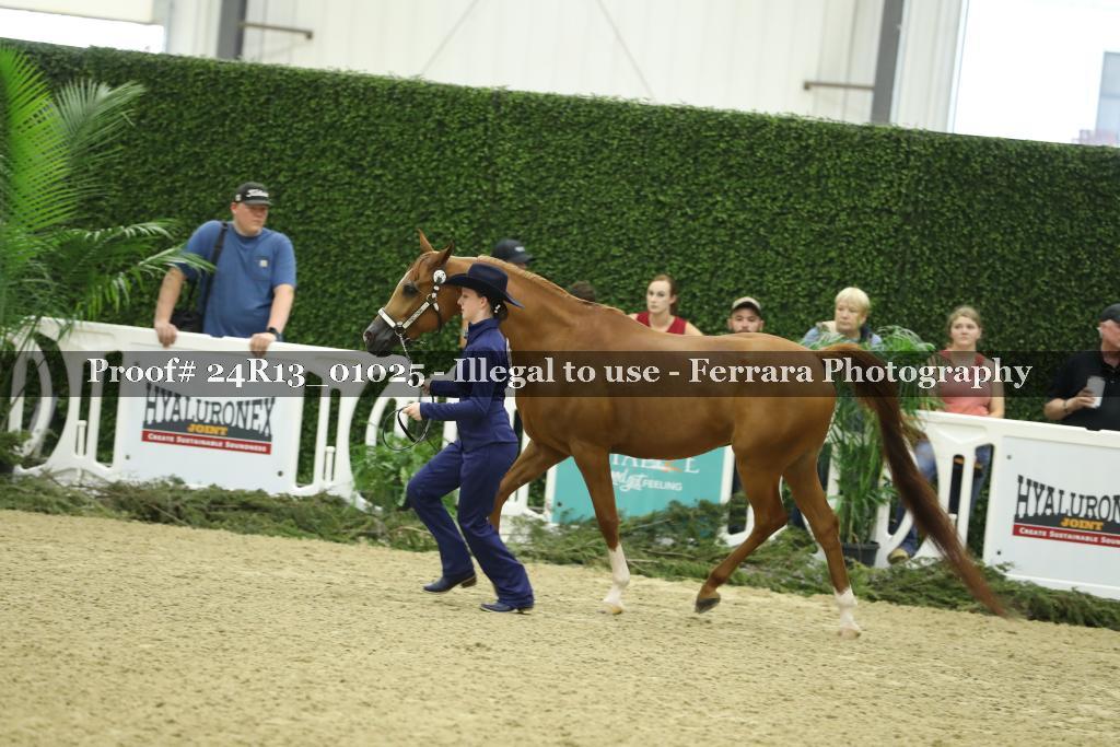 Proof 24R13_01025