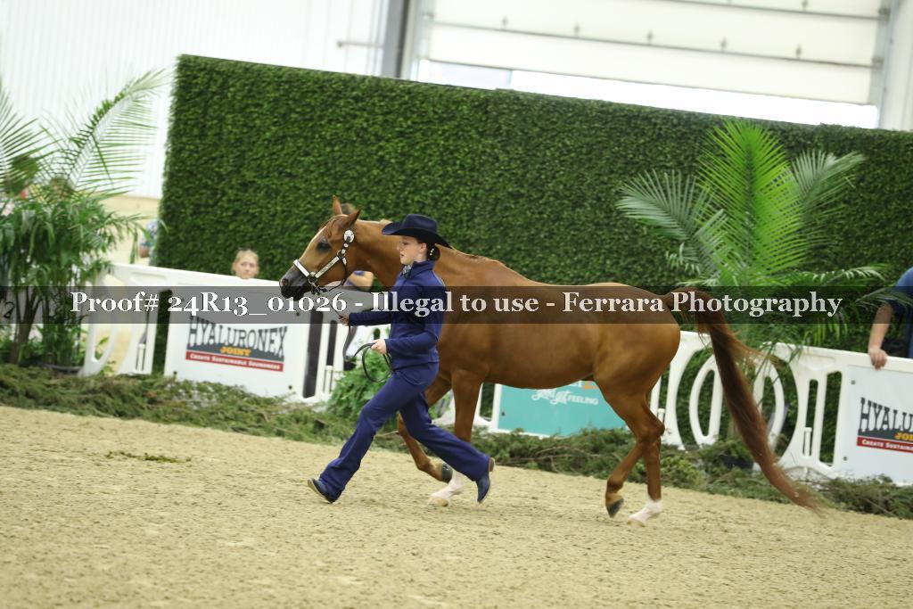 Proof 24R13_01026