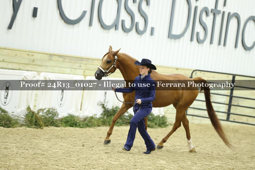 Proof 24R13_01027
