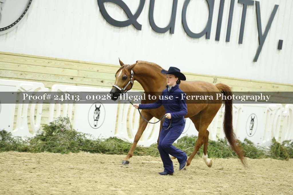 Proof 24R13_01028