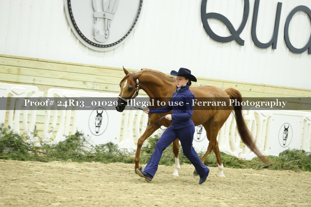 Proof 24R13_01029