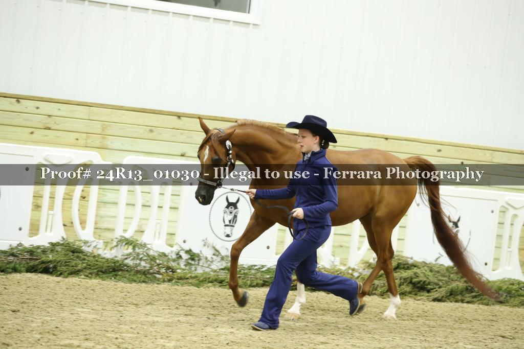 Proof 24R13_01030