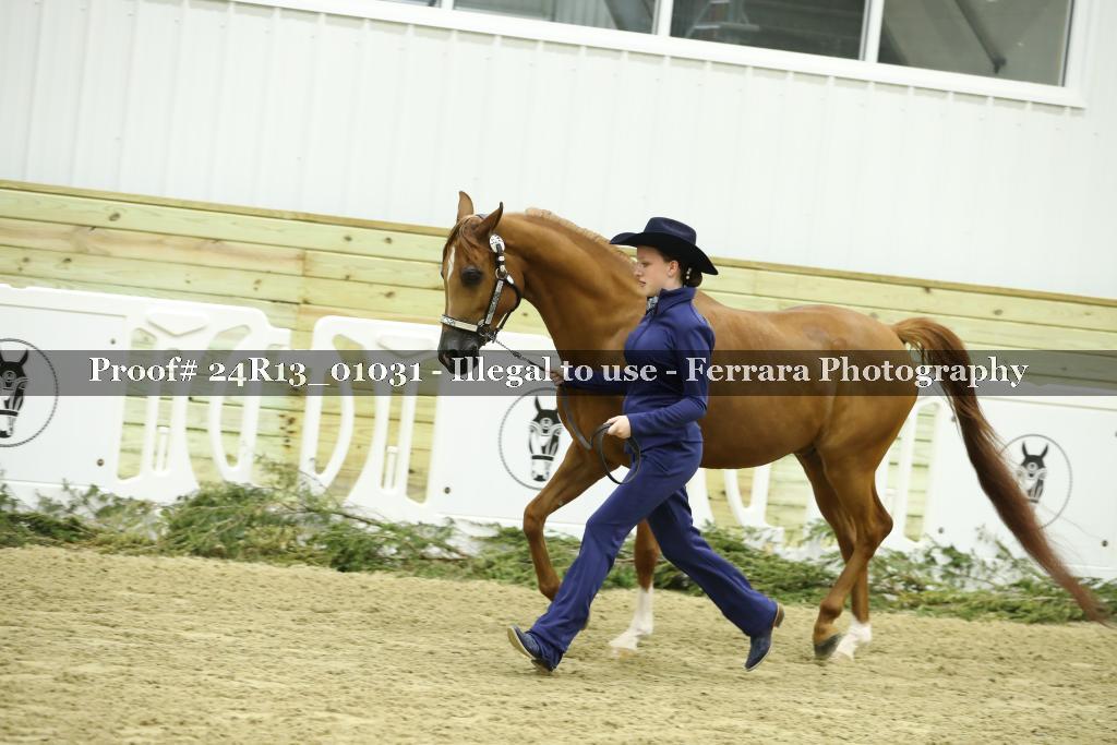 Proof 24R13_01031