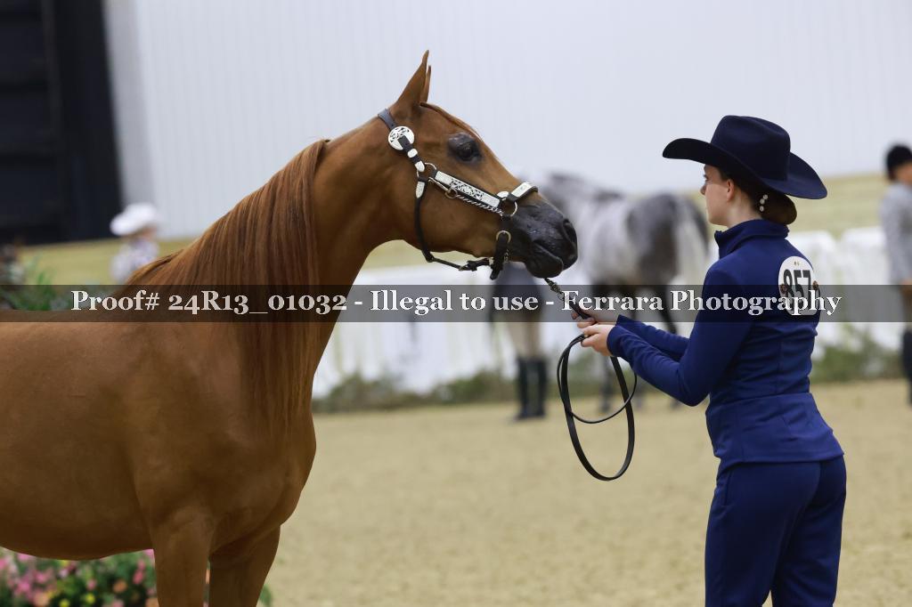 Proof 24R13_01032