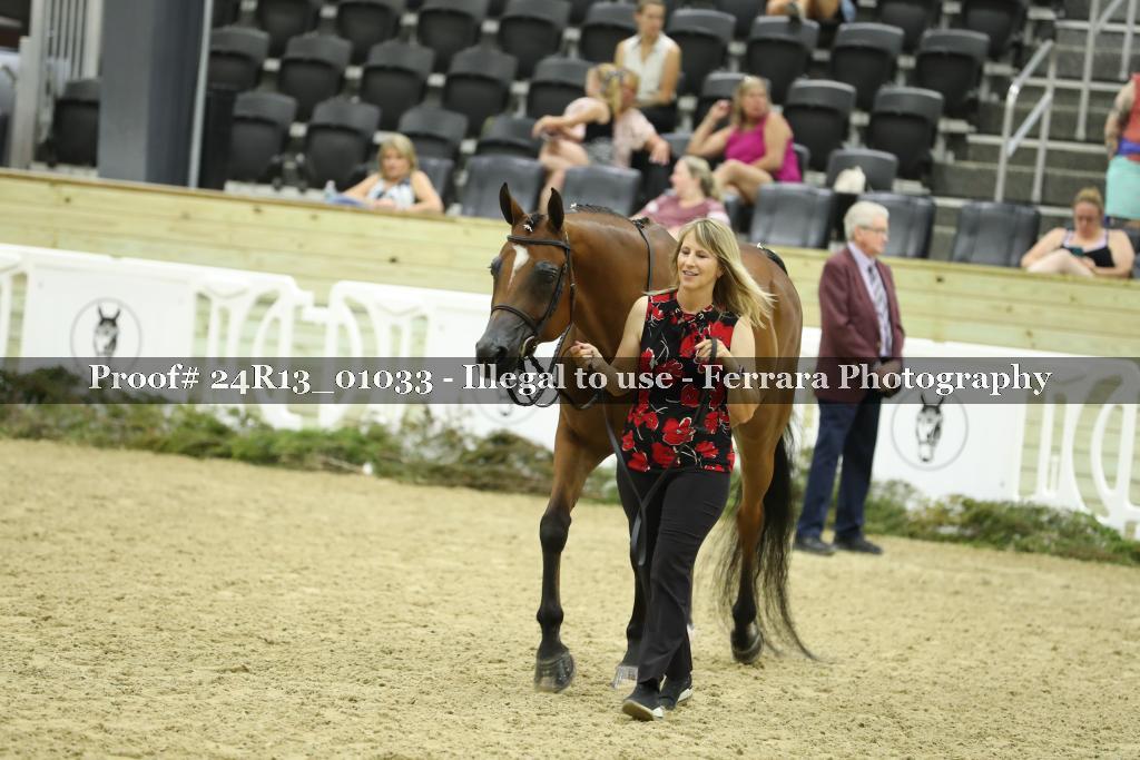 Proof 24R13_01033