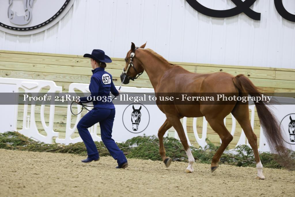 Proof 24R13_01035