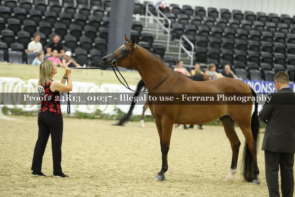 Proof 24R13_01037
