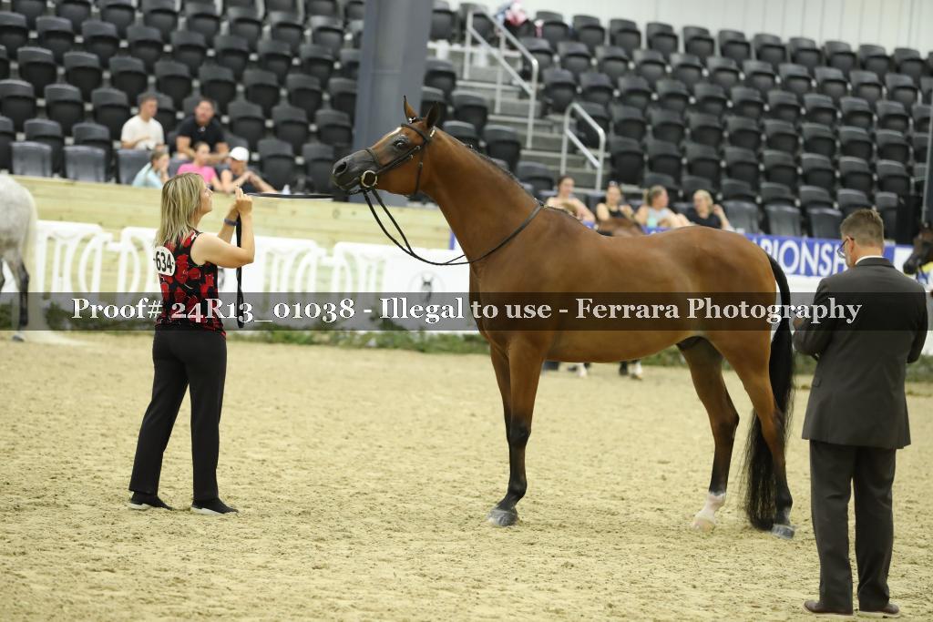 Proof 24R13_01038