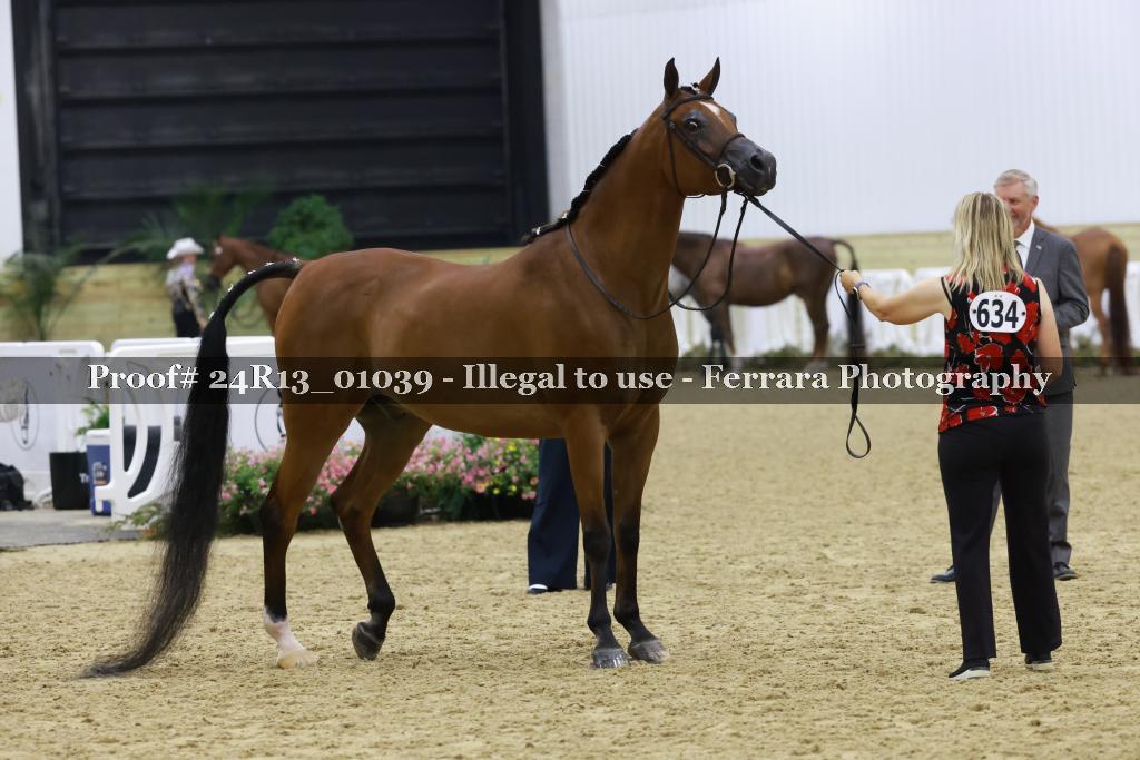Proof 24R13_01039