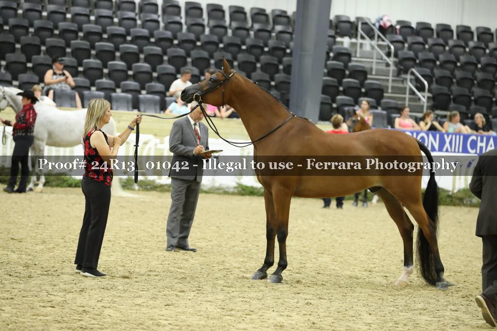 Proof 24R13_01042